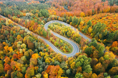 High angle view of trees on field