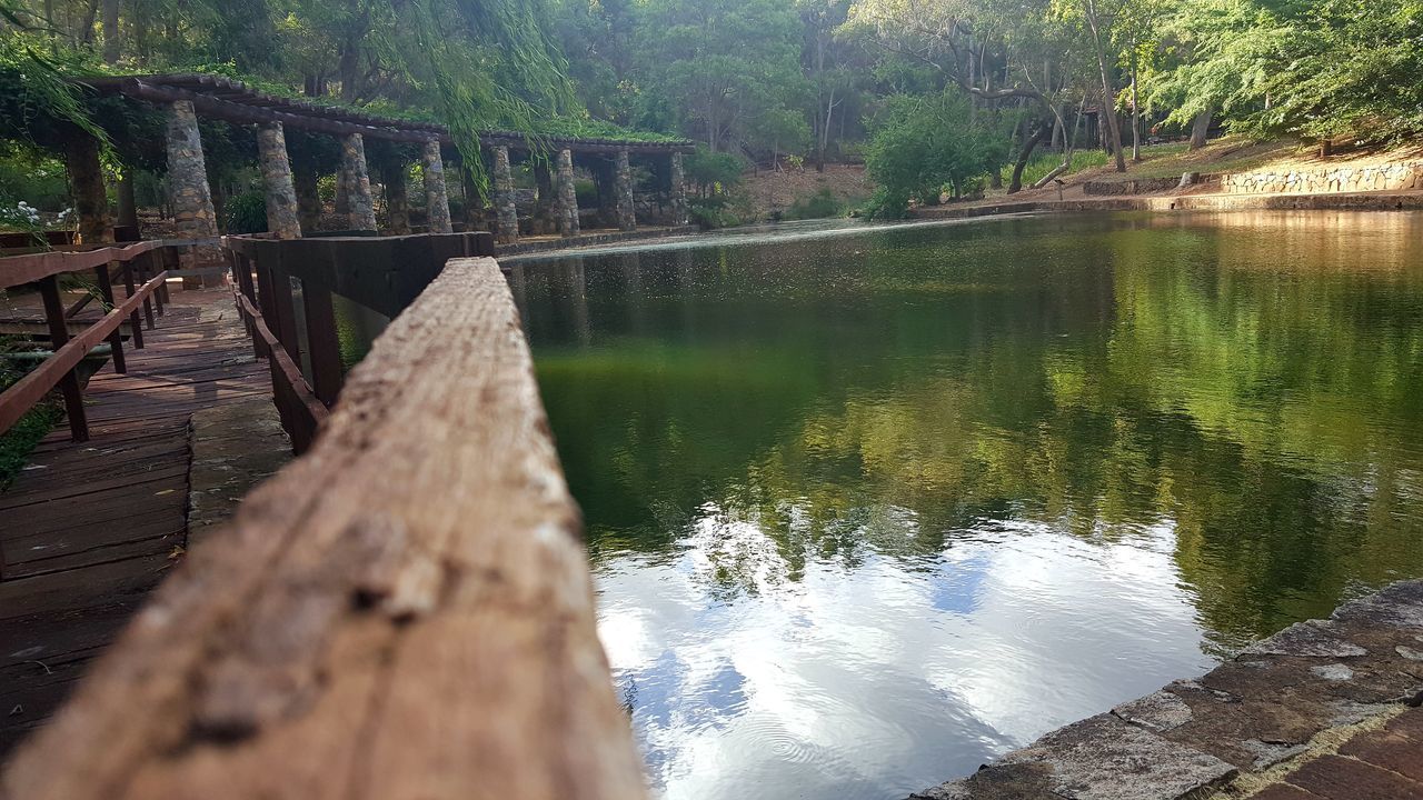 FOOTBRIDGE OVER RIVER AGAINST TREES IN FOREST