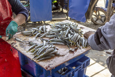 High angle view of hand holding fish