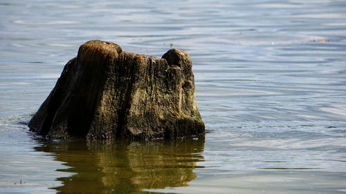 Wooden post in a sea