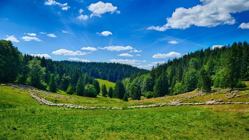 Scenic view of landscape against cloudy sky