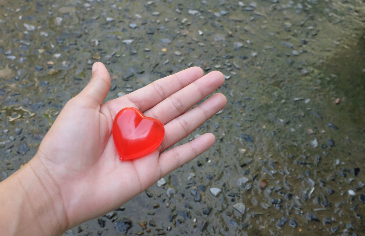 HIGH ANGLE VIEW OF HAND HOLDING HEART SHAPE OVER BLURRED BACKGROUND