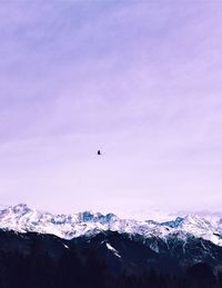 Birds flying over snowcapped mountains against sky