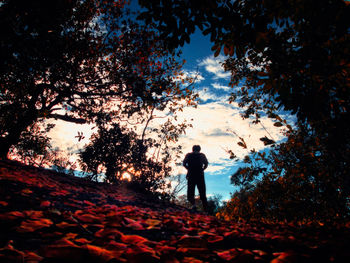 Rear view of silhouette man walking on autumn leaves