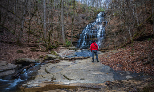 Rear view of man walking in forest