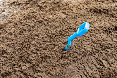 A blue plastic shovel in the sand of a sandbox