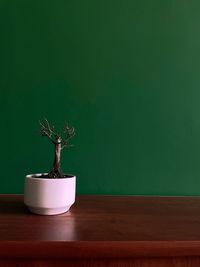 Close-up of potted plant on table against wall