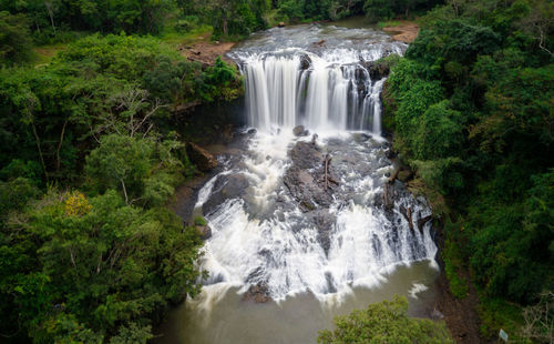 Scenic view of waterfall in forest