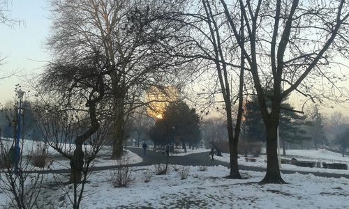 Scenic view of snow covered landscape