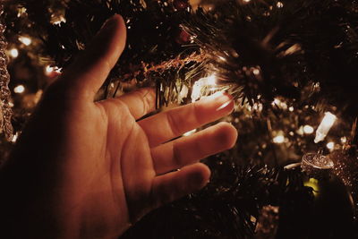 Close-up of hand touching christmas tree