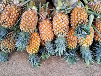 High angle view of fruits in market