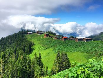 Scenic view of grassy field against cloudy sky