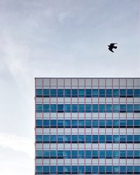 Low angle view of bird flying in sky