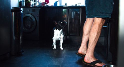 Low section of man with dog standing on tiled floor