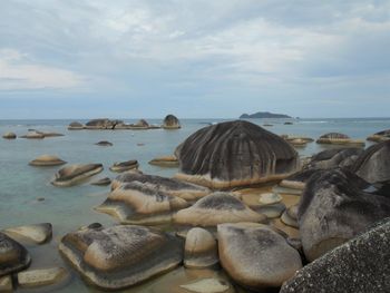 Rocks on beach against sky