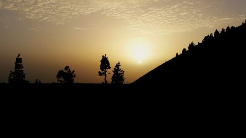 Silhouette trees on landscape against sky during sunset