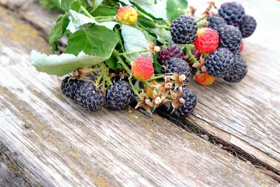 High angle view of berries on table