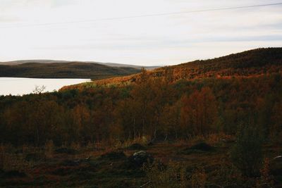 Scenic view of landscape against sky during autumn