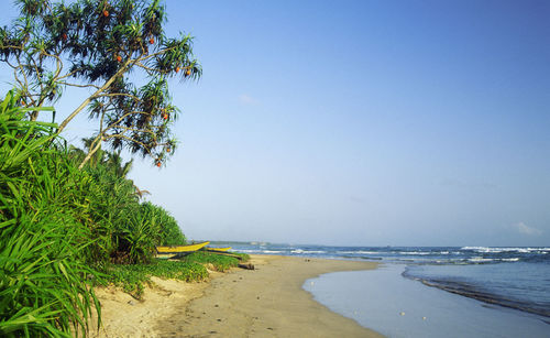 Scenic view of beach against clear sky