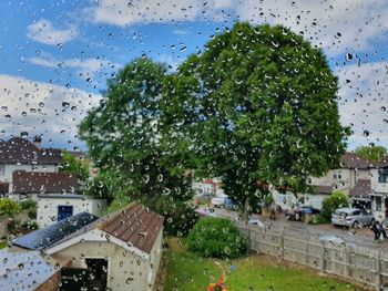 Water drops on glass window against buildings in city