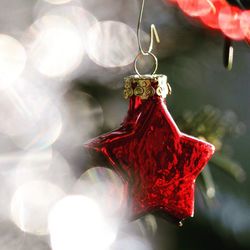 Close-up of red bell hanging