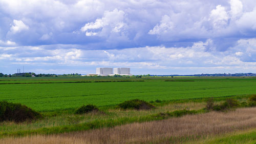 Scenic view of agricultural field against sky