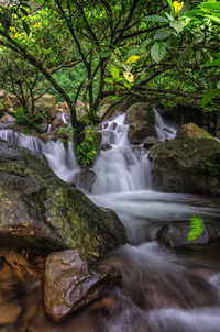 Scenic view of waterfall in forest