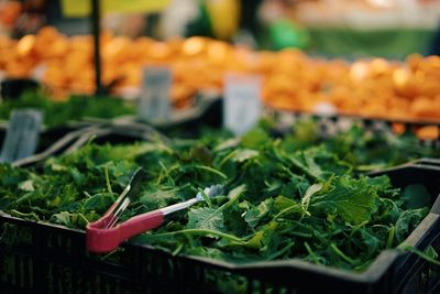 Serving tongs on plant at market stall