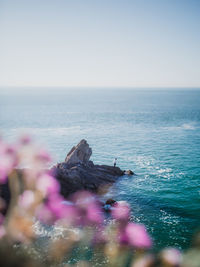 Scenic view of sea against clear sky