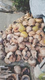 High angle view of mushrooms