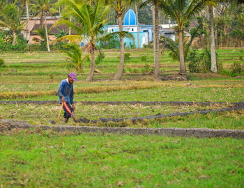 Man working in farm