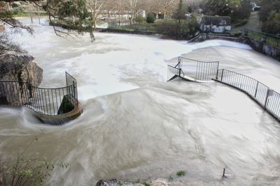 High angle view of river flowing amidst plants