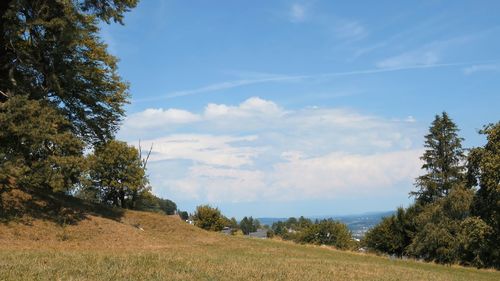 Trees on field against sky