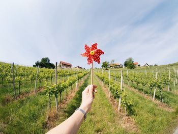 Cropped image of hand holding pinwheel toy on field against sky