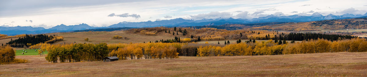 Panoramic shot of alberta rural farm rolling foothills in autumn colors