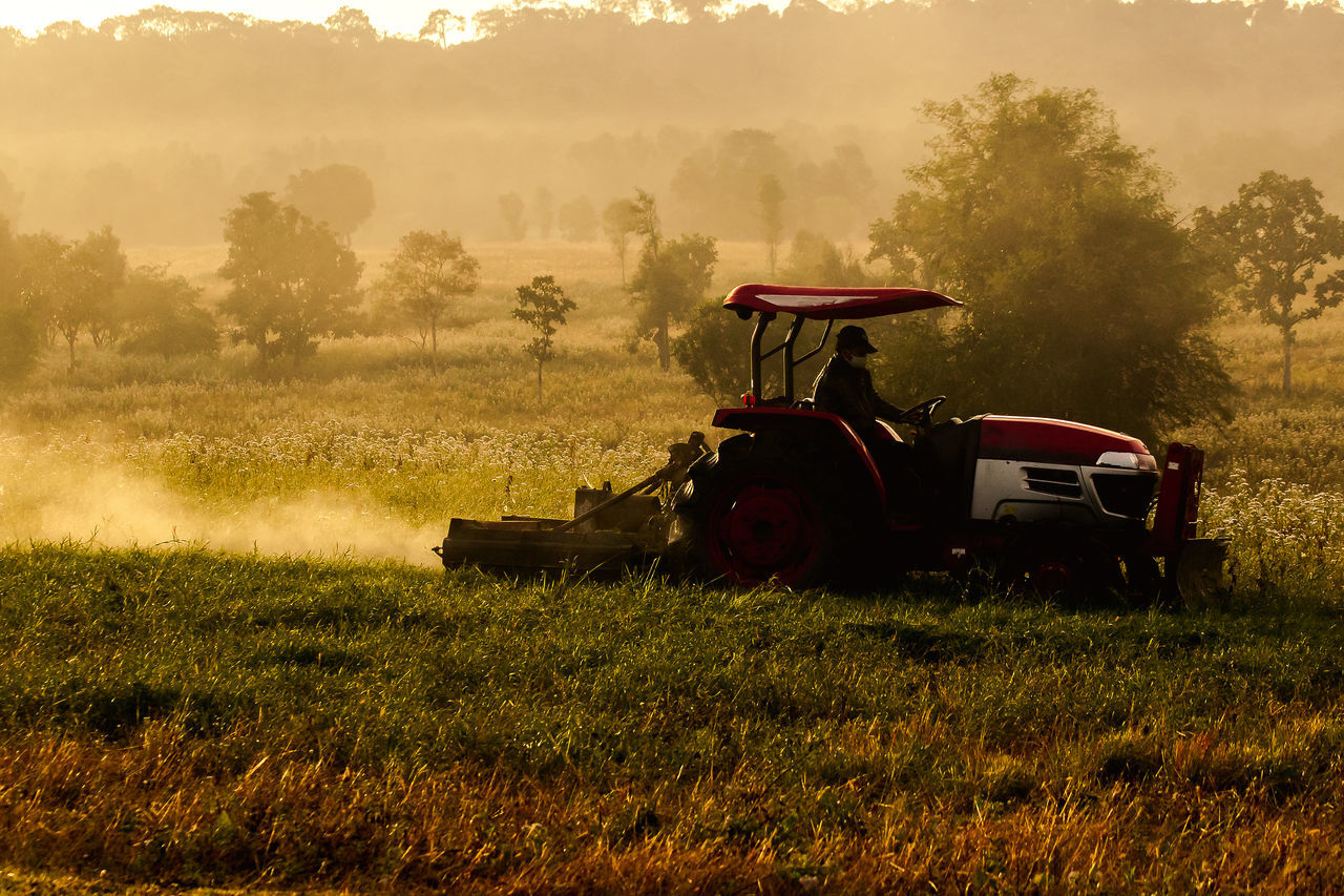 TRACTOR ON FIELD AGAINST TREES AND CARS