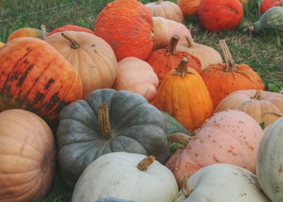 Full frame shot of pumpkins