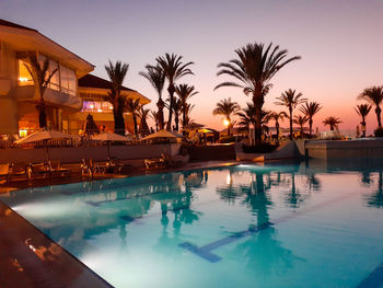 Reflection of palm trees in swimming pool