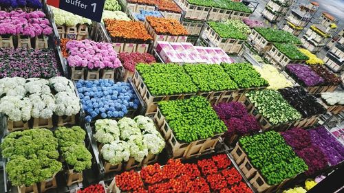 Fresh flowers, colors, flower auction market