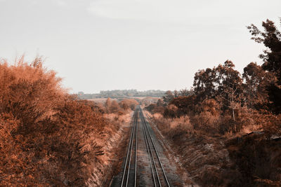 Railroad tracks amidst trees against sky on orange color tone