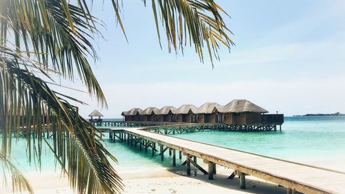 Palm trees on beach against sky