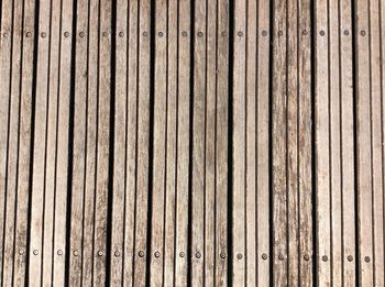 Full frame shot of tree stump