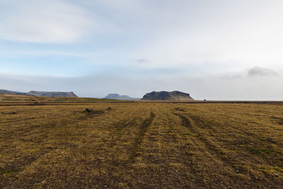 Scenic view of field against sky