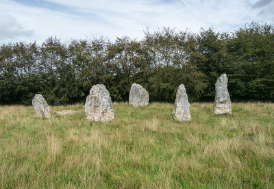 View of cemetery on field against sky