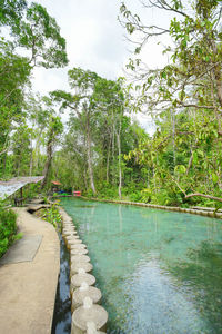 Scenic view of river amidst trees against sky