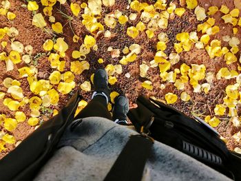 Low section of person standing on yellow autumn leaves