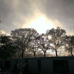 Low angle view of bare trees against sky