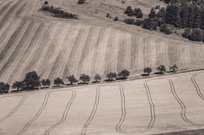 Scenic view of agricultural field