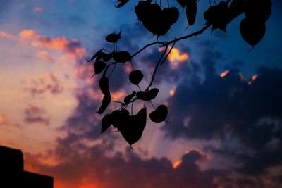 Low angle view of silhouette tree against sky at sunset