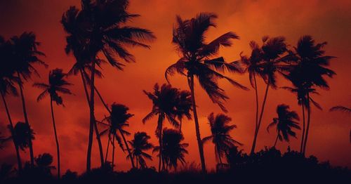 Silhouette palm trees against romantic sky at sunset